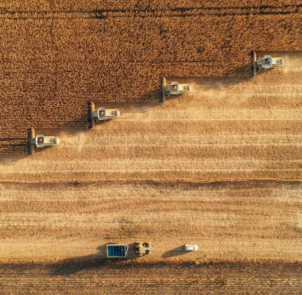 Harvesters working in a wheat field, aerial view.
