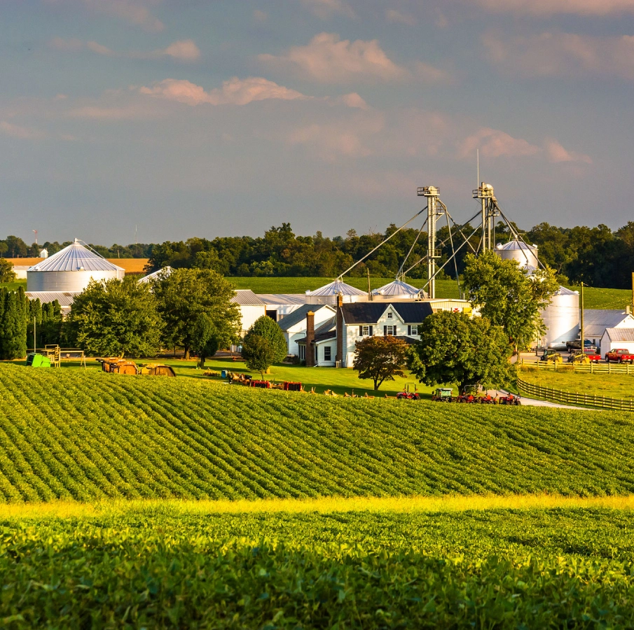 Farmland with farmhouse and silos under sky.