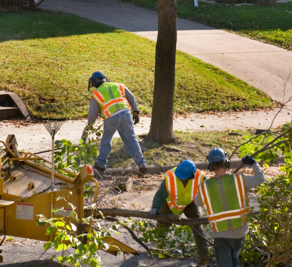 Workers in safety gear clearing branches.