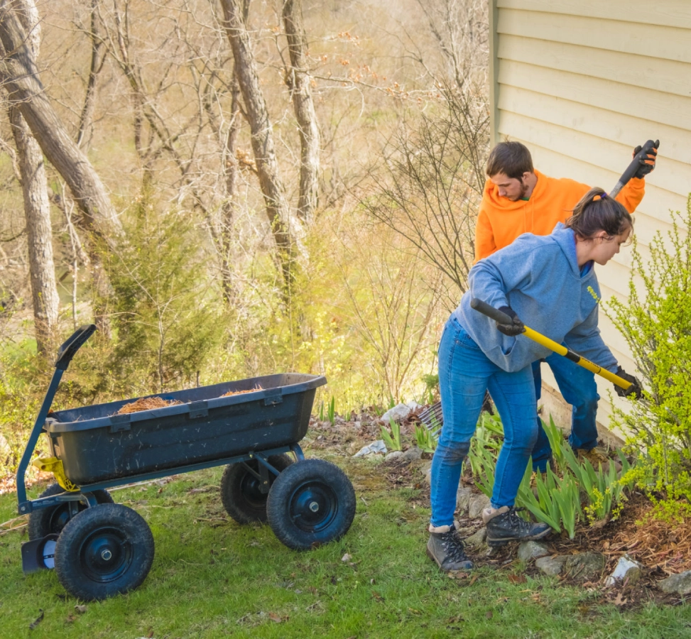 People gardening near house with wheelbarrow.