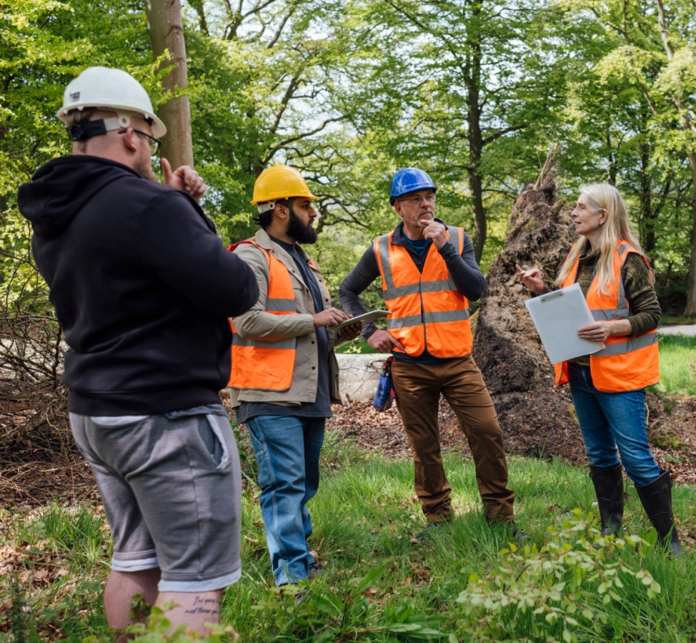 Construction team discussing in a forest.