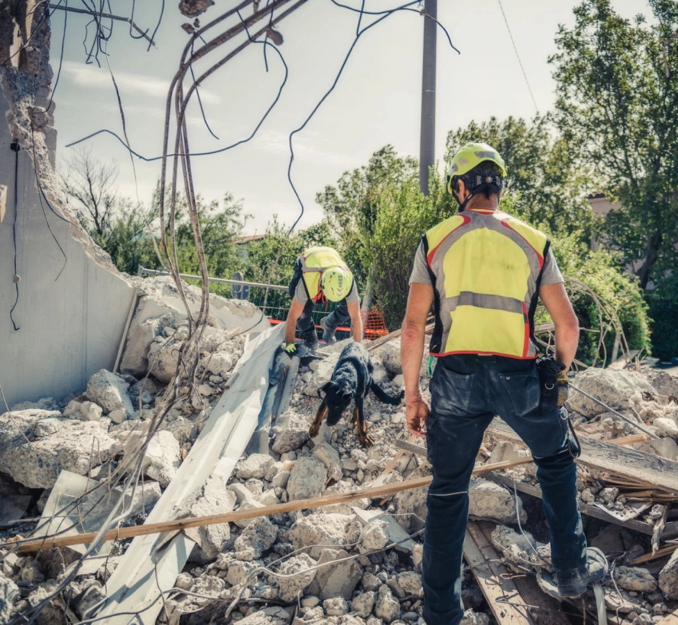Rescue workers and dog searching rubble site.