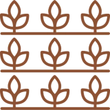 Pattern of brown leaf shapes on black.
