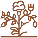 Plant with brain and electric plug design.