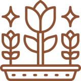 Potted flowers with sparkles, brown outline design.