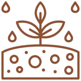 Seedling with raindrops and soil icon.